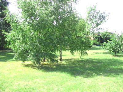 La Maison Tournesol - 3 Bedroom House With Large Garden Near Saumur Saint-Martin-de-la-Place Εξωτερικό φωτογραφία